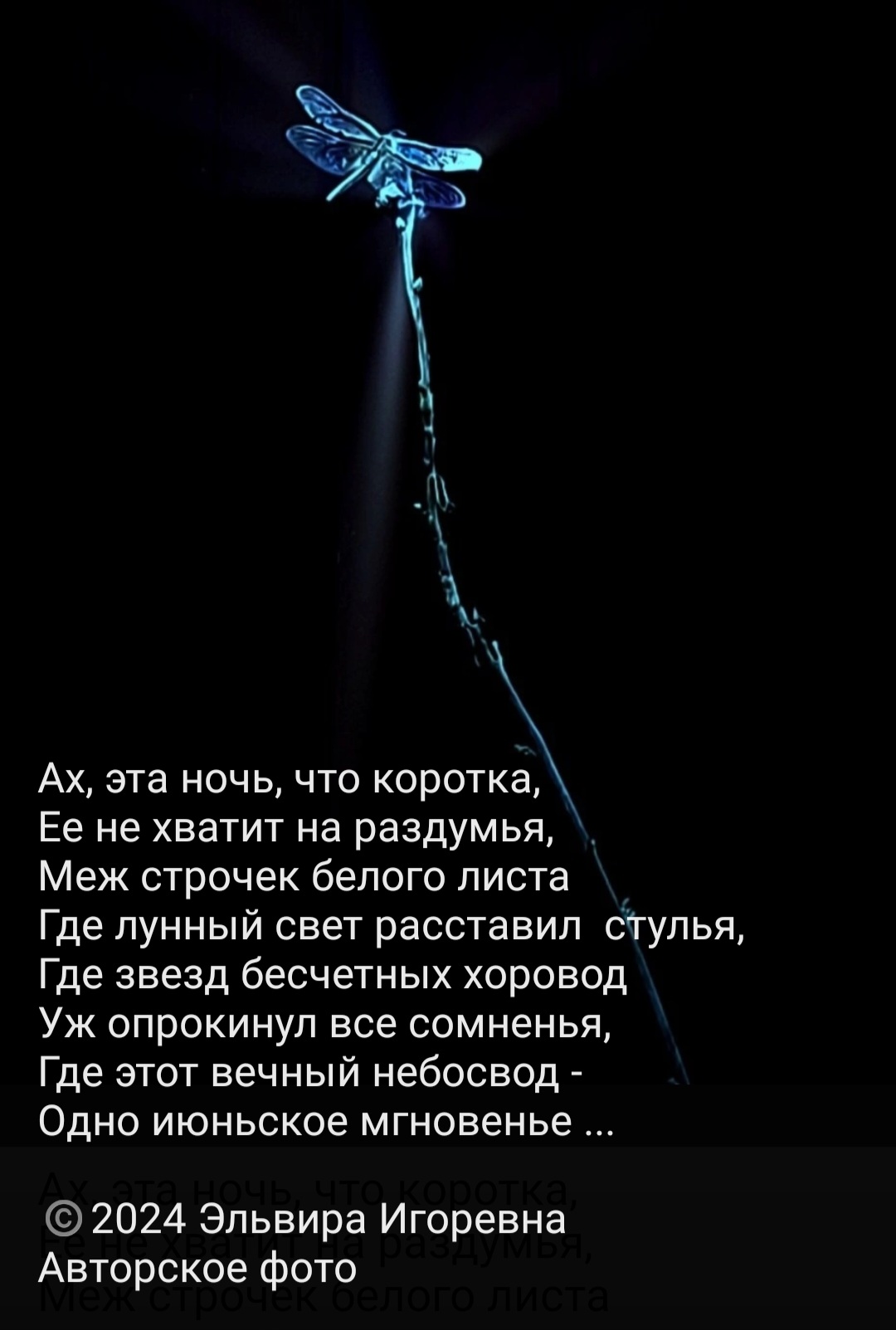 Июньское мгновенье