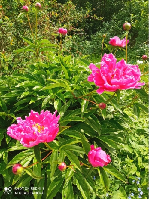 Посмотри, нет ли крыльев у тебя за спиной?