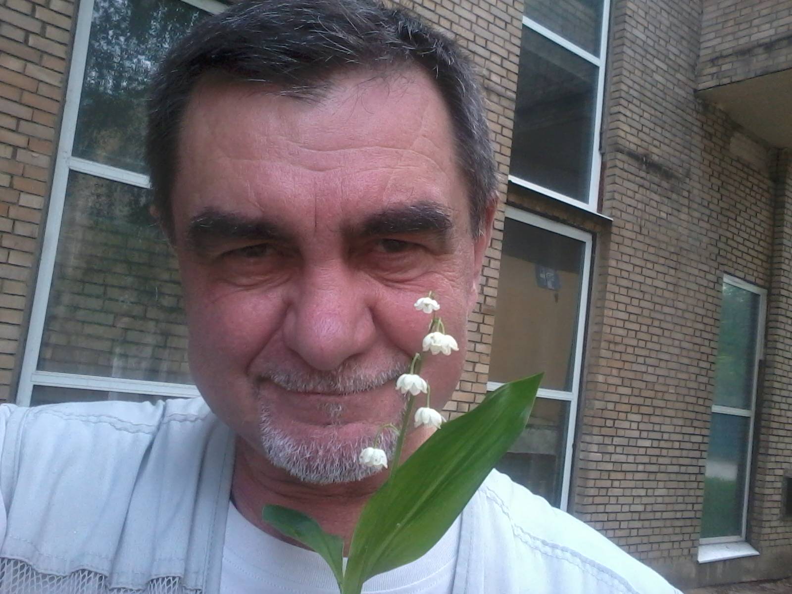 Вы знаете, как умирает ландыш?