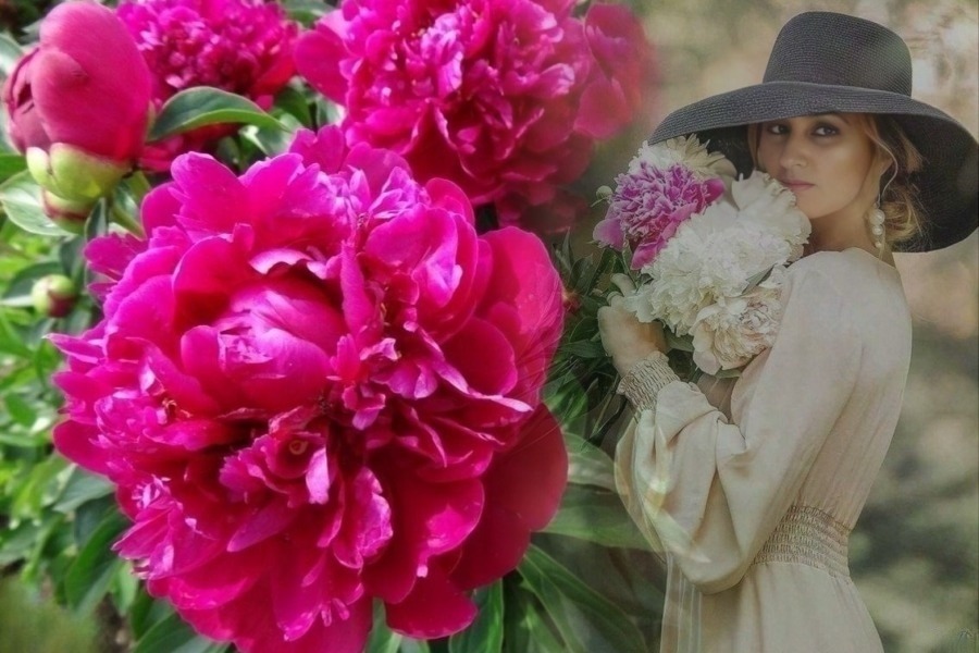 Семь дней до конца июня...