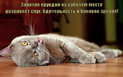 Письмо Марусе из далёкой страны