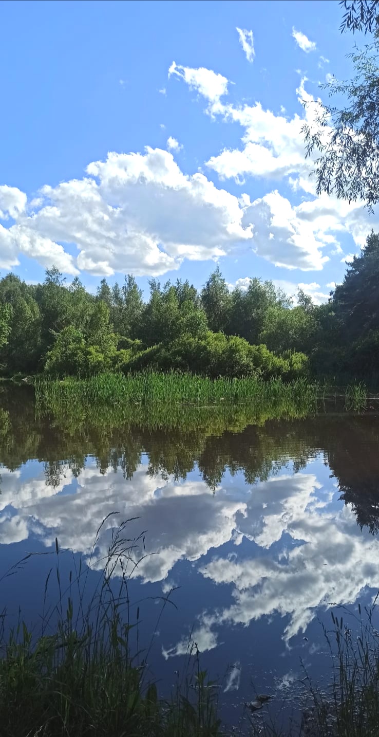 В сердце пропустив любовь