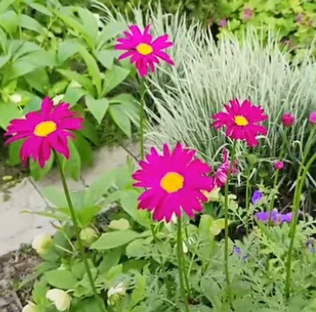 Отпечатки - я долго в эзотерике сидела...