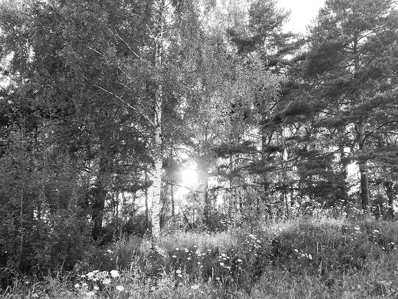 2024г. Сон явью скоро обратится. 1061