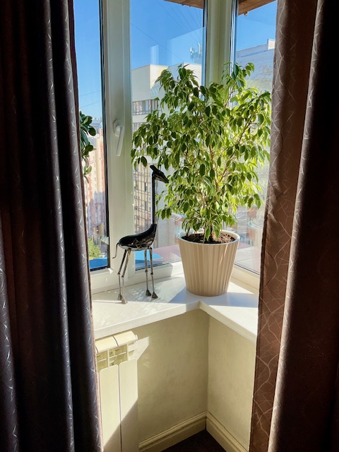 Далёко, далёко, на озере Чад