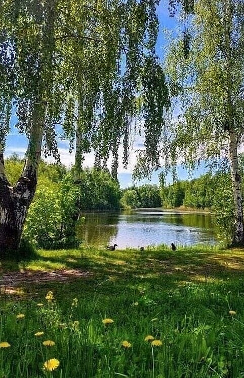 Мой край родной