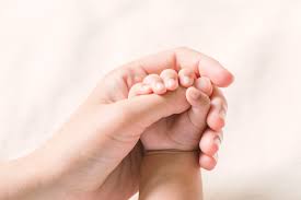 Храни и не забудь