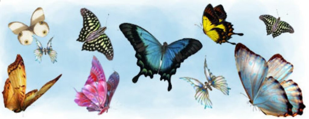 Бабочки. Магистральный сонет