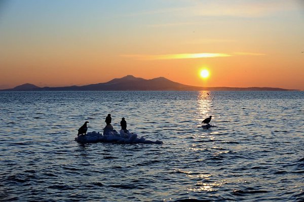 Я- Сахалин -2