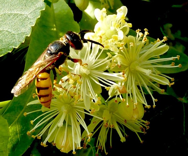 Жизнь начинаю с нуля...