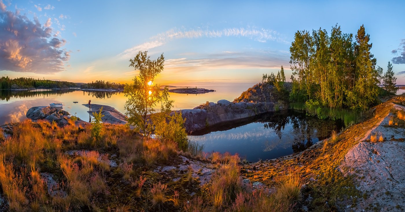 И на камнях растут деревья