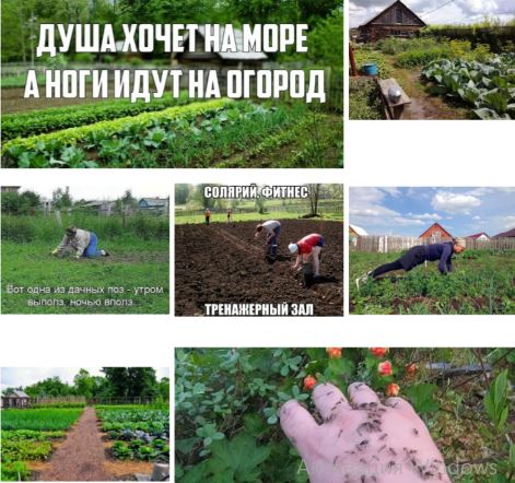 Дачный выходной