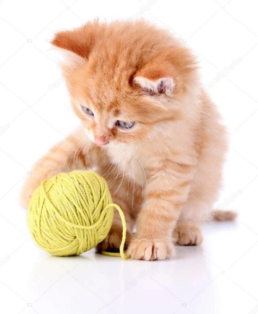 Расцветала в саду с одуванчиками