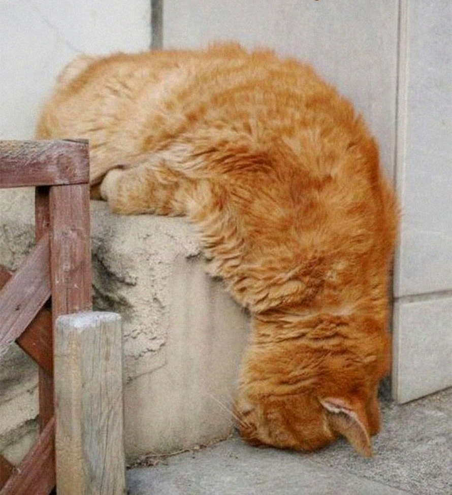 С бодрым утром вас, коллеги... zam