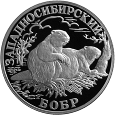 Бобры! 1