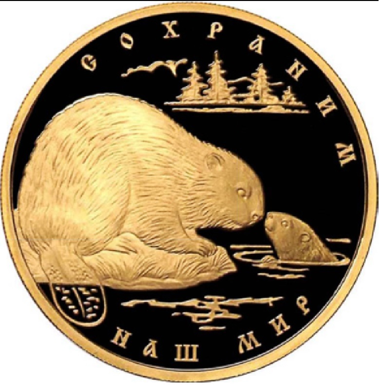 Бобры! 3