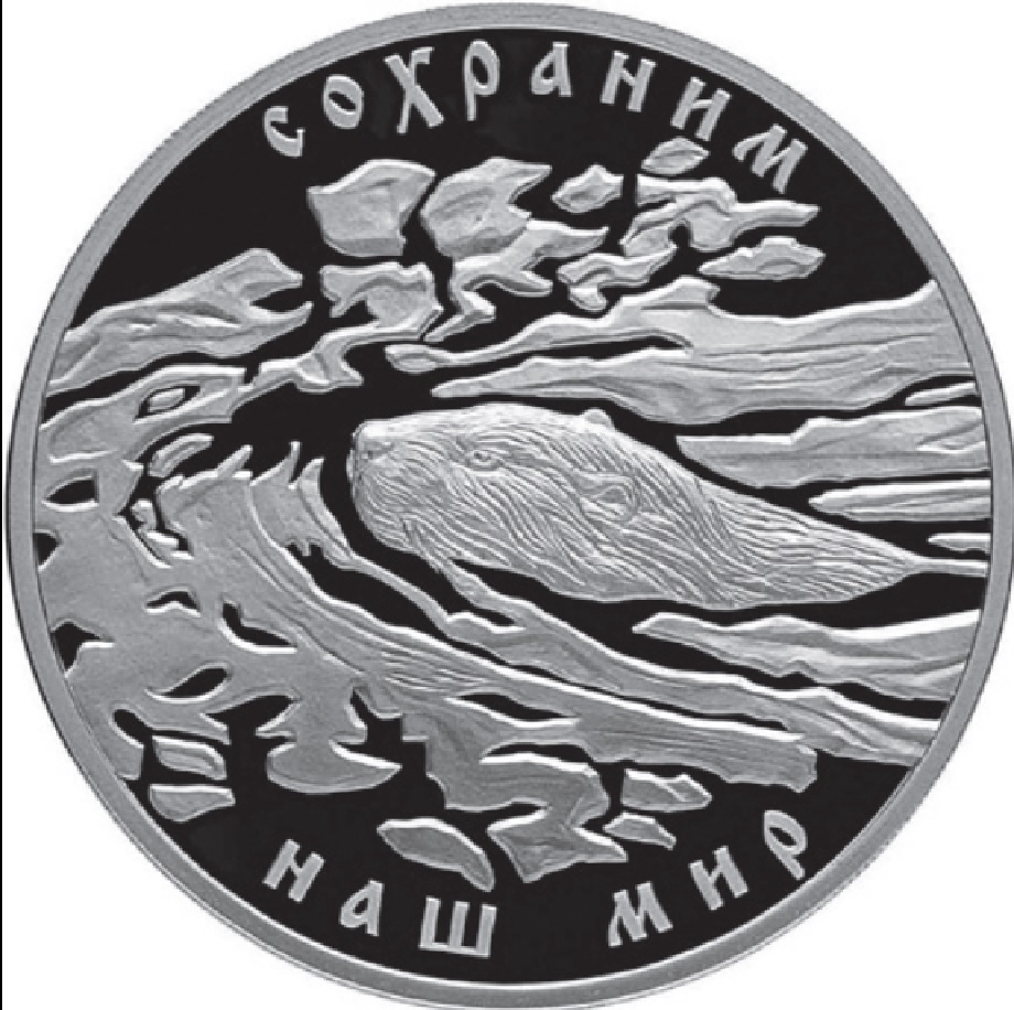 Бобры! 5
