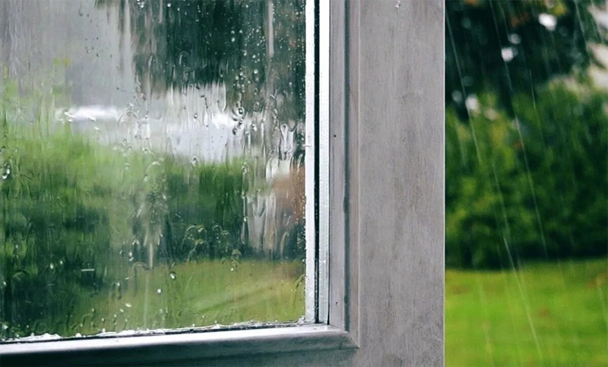 Дождь в окне. Ливень вид из окна. Если не закрыть окно в дождь. Капли на окне. Открытое окно дождь.