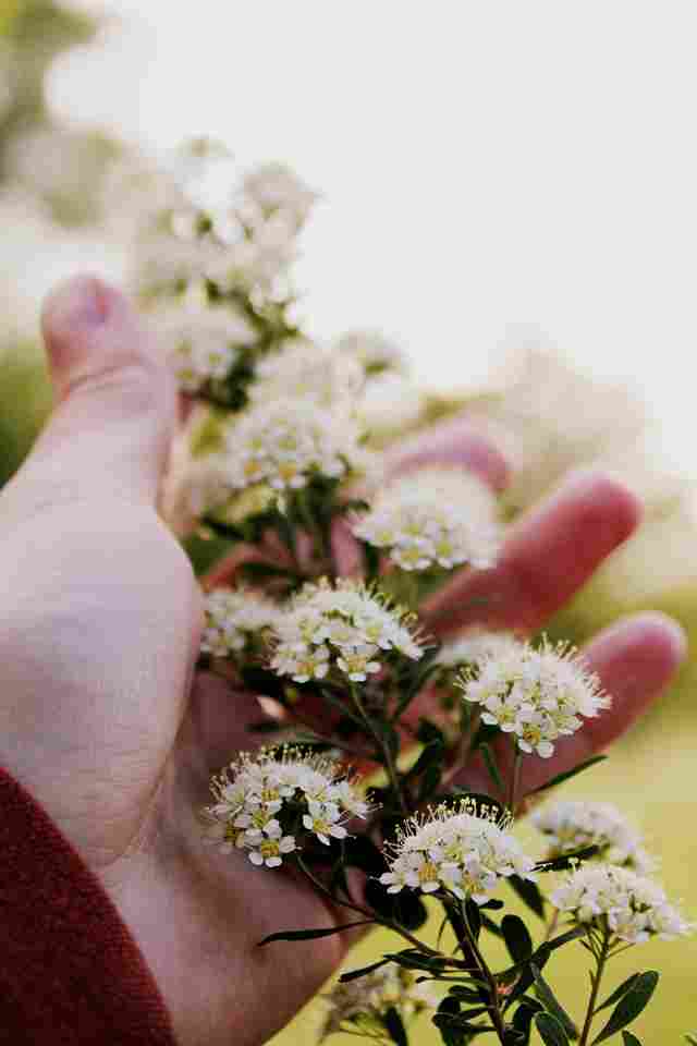 Это и есть настоящее