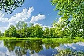 Летний день