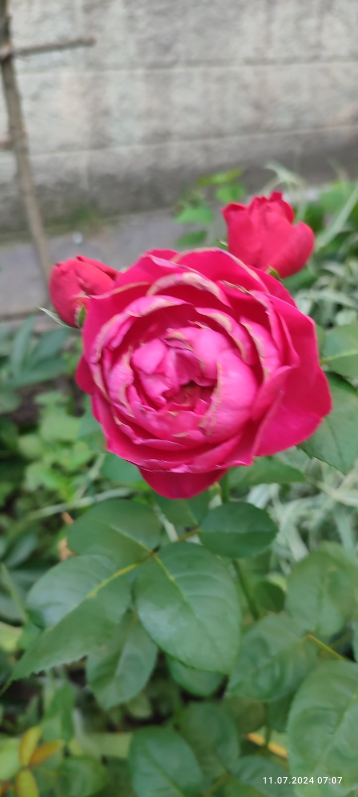 В жизни всё бывает не зря