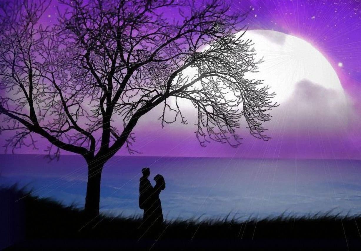 Ночь нежна...