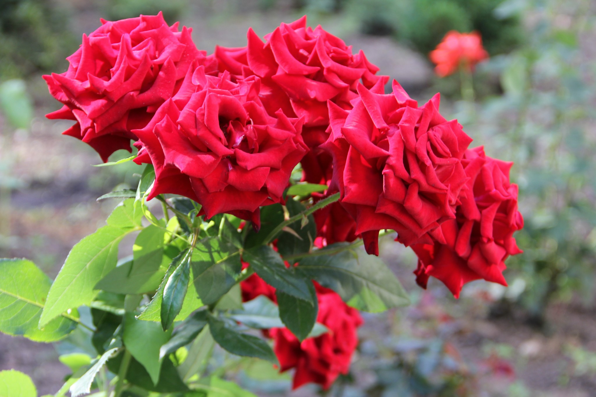 Каждый вышивает свою канву жизни...