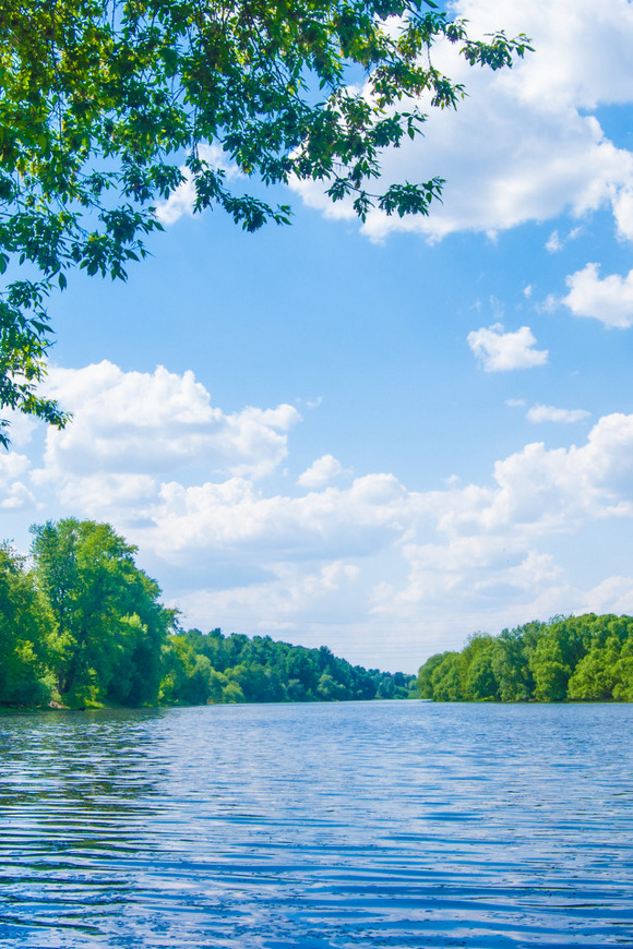 Летний дактиль