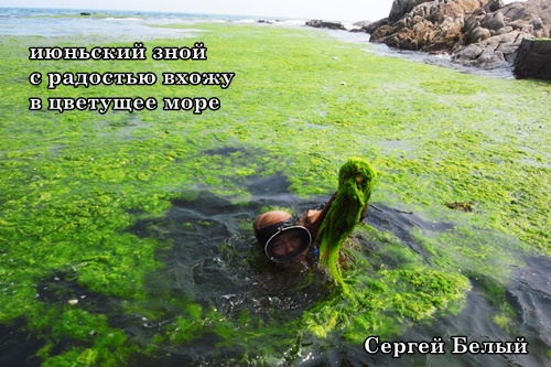 июньский зной