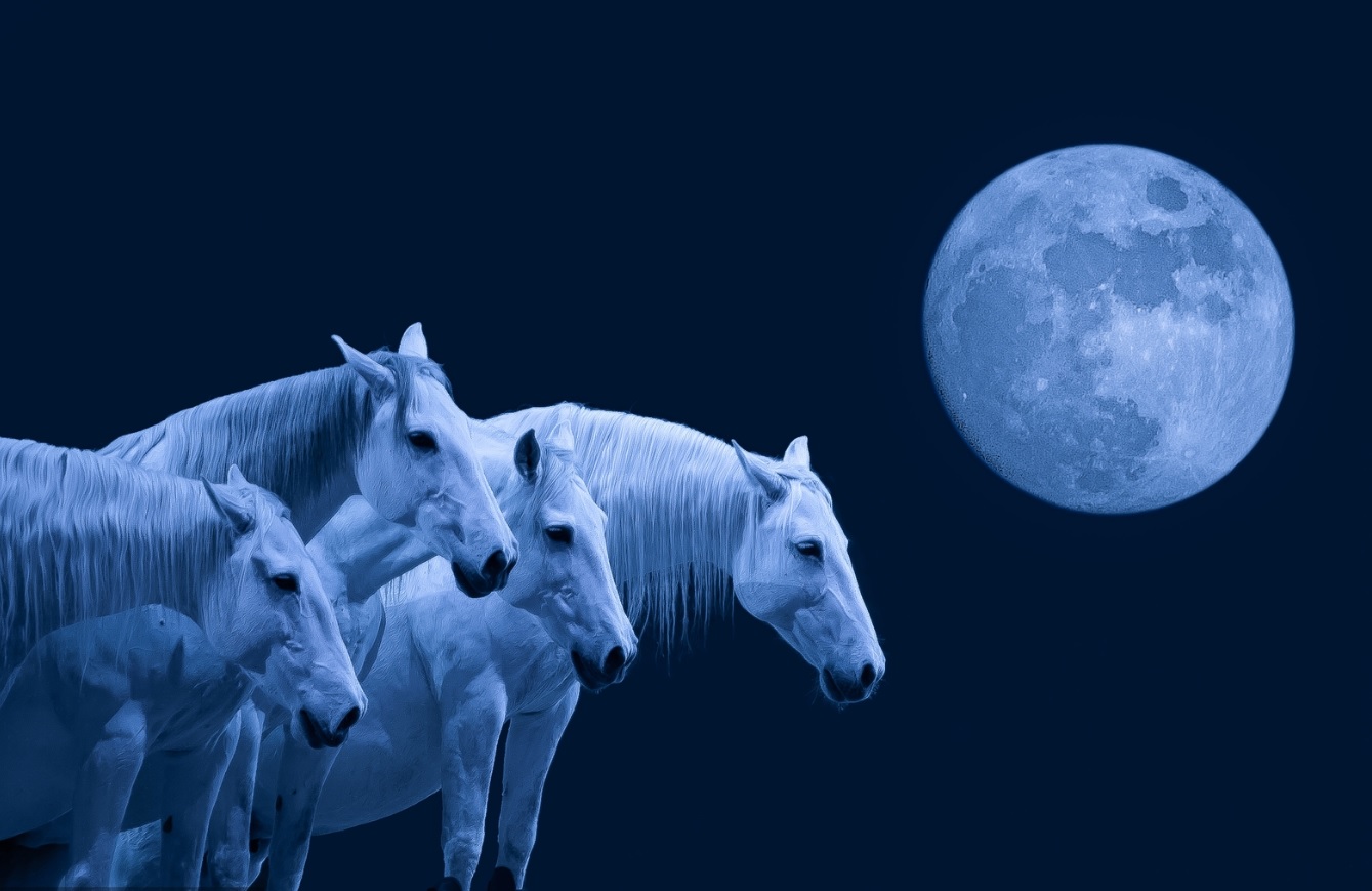 Как наш мир прекрасен...