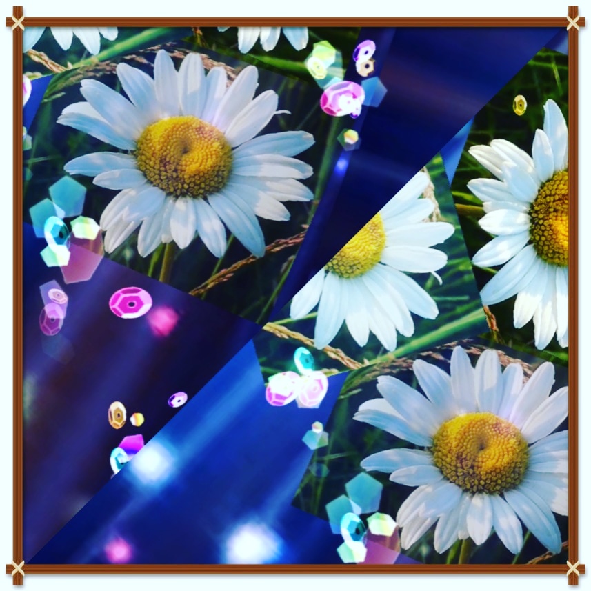 Соратники - мы шли по тернистой дороге...