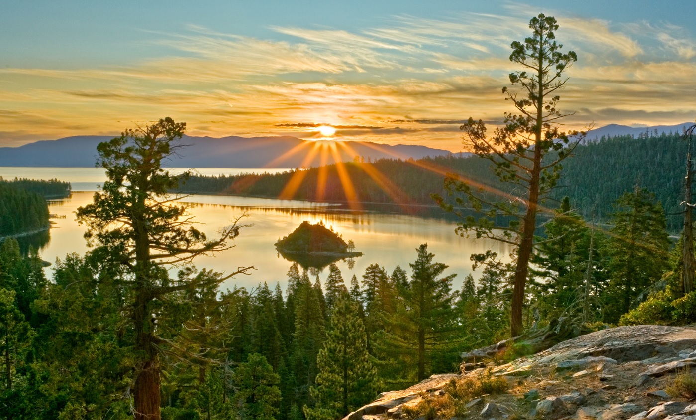 Живая печаль...