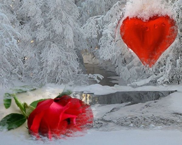 Сердце и роза в глыбе льда