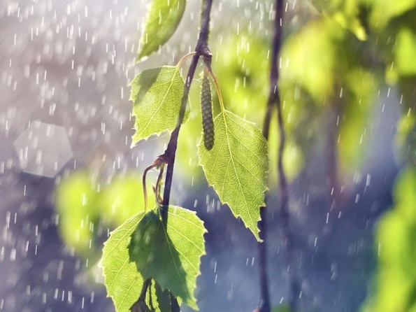 Утро - начало нового дня