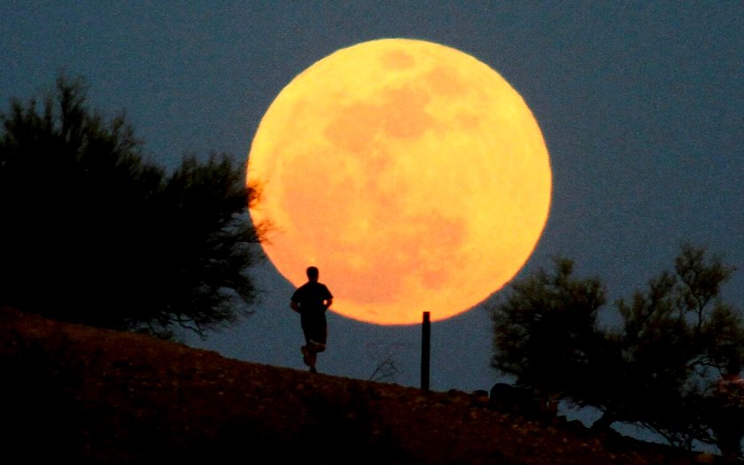 Огромный диск оранжевой Луны...