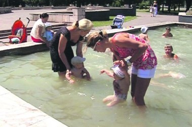 Отцветают липы в парке