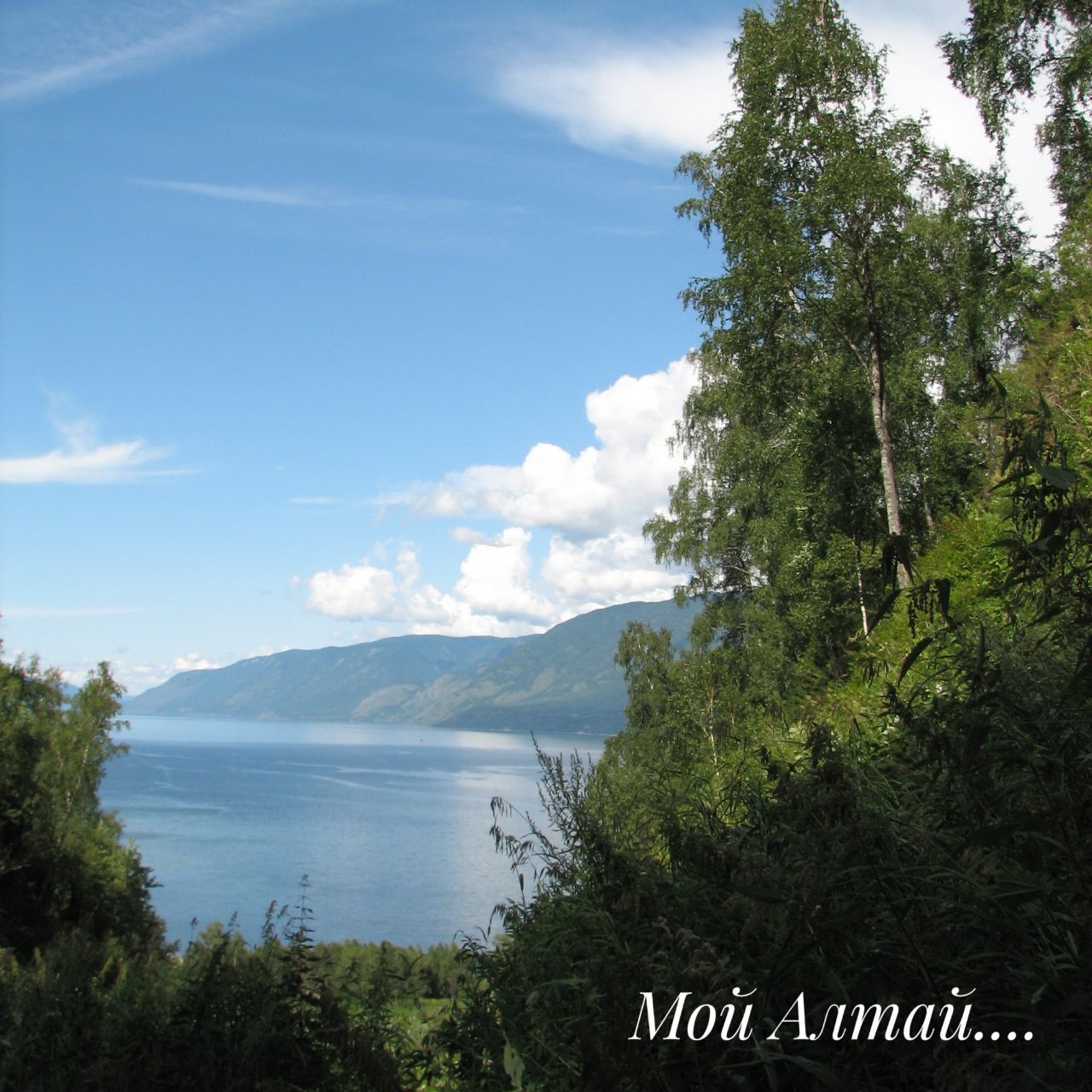 Мой Алтай