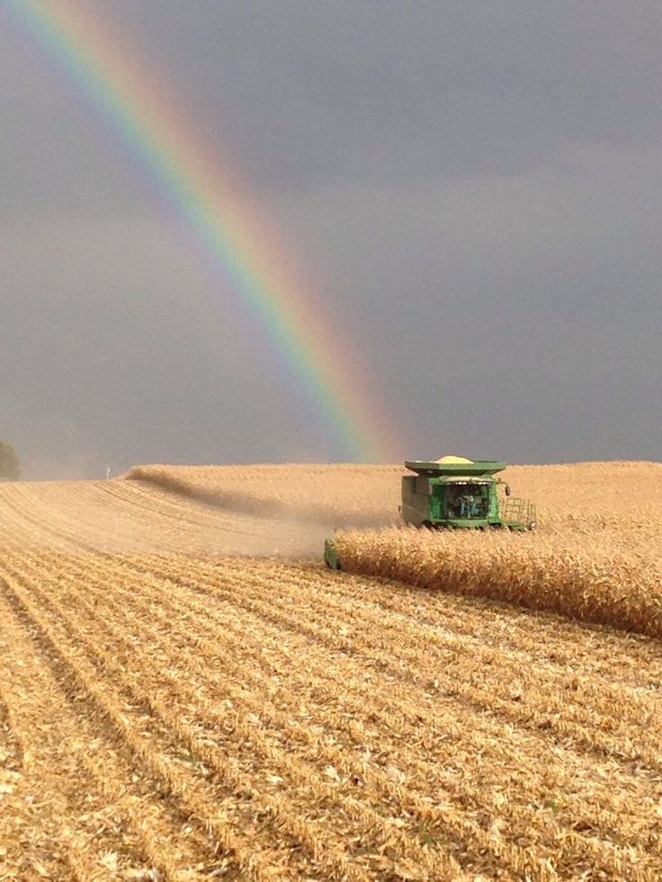 В уборочную страду