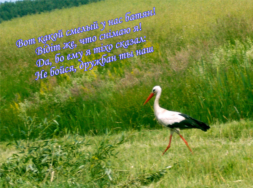 Тут быто как бы сам Бэн Ладан