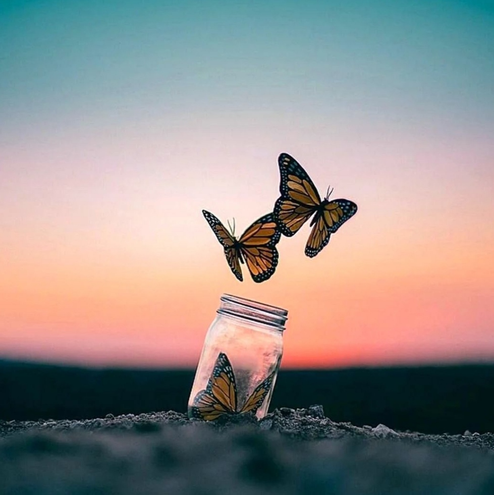 Игры Создателя