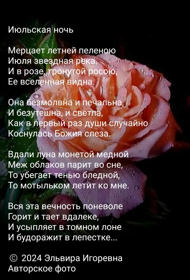 Июльская ночь