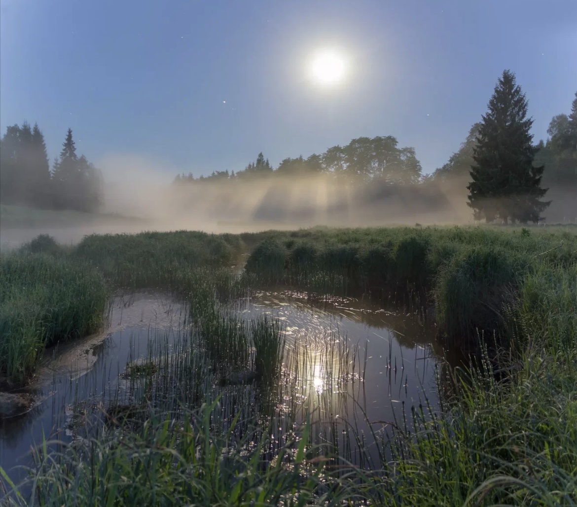 Страсти майской ночи