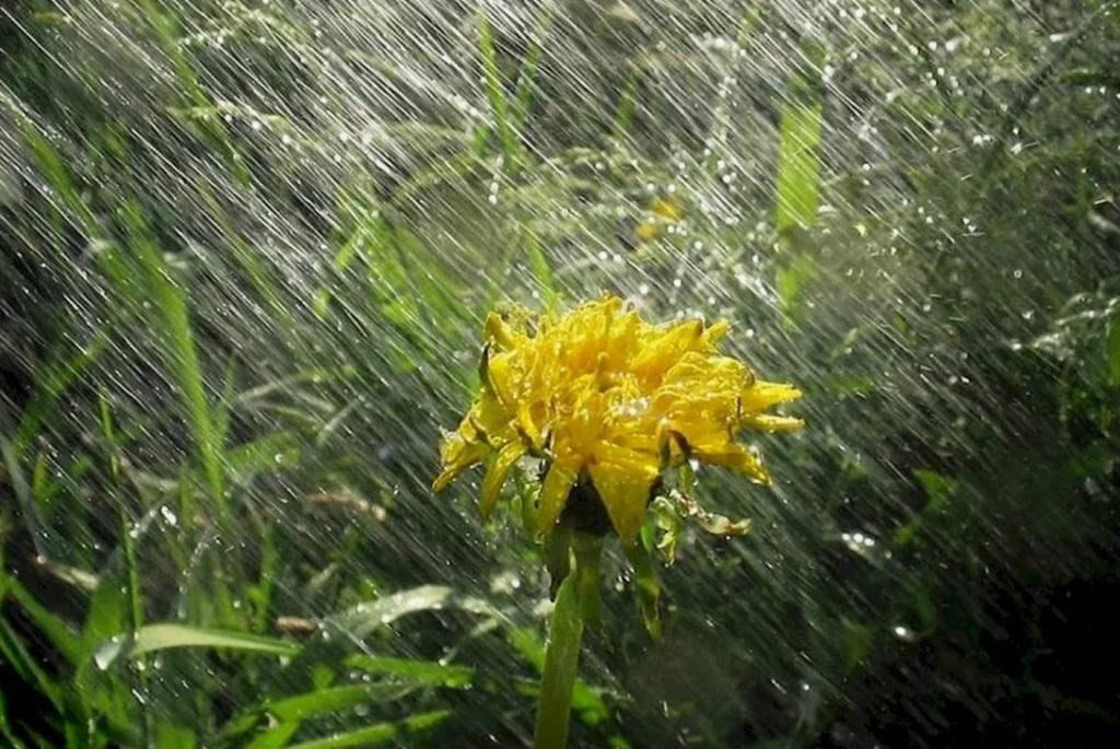 Штрихи косые