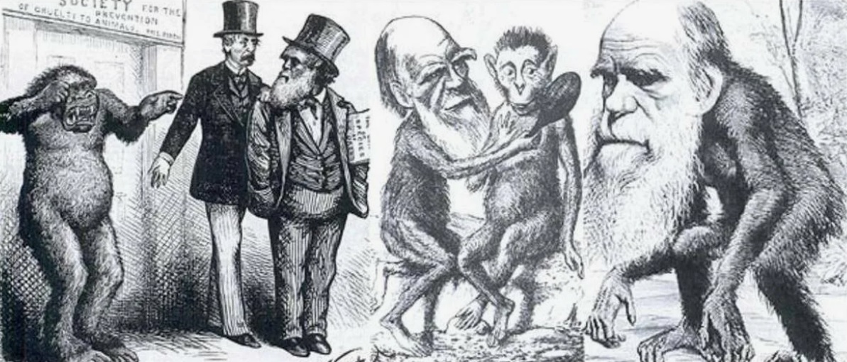 Нет Дарвина теории, ложь то. 4 строки