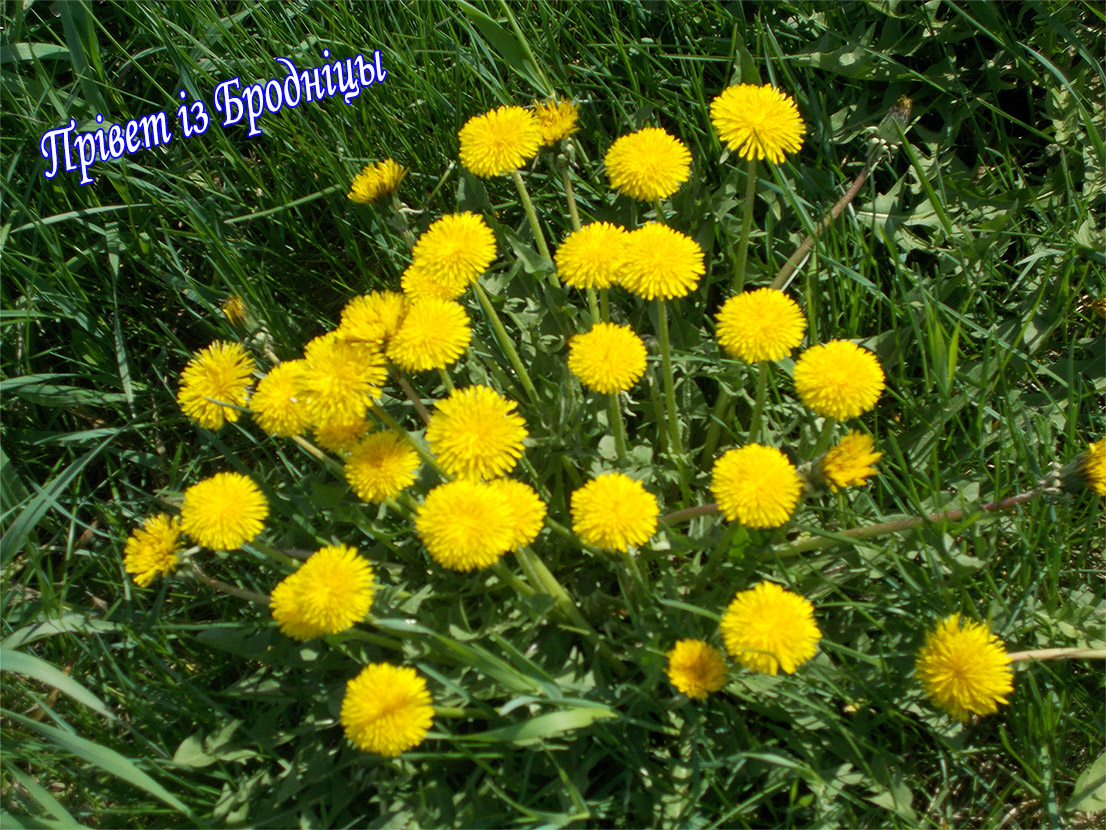 А шо ж там онь на Ямаловы?