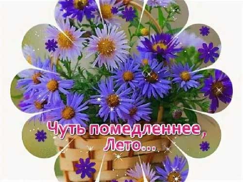 Чуть помедленнее, лето!