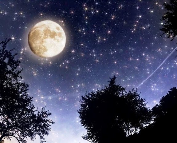 Июльские ночи...