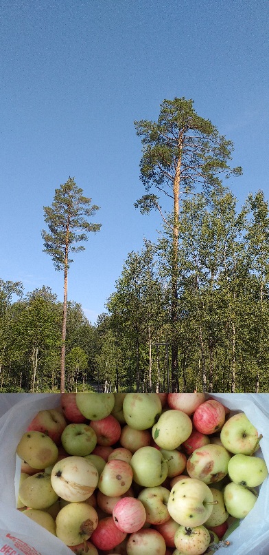 С кем шмякать
