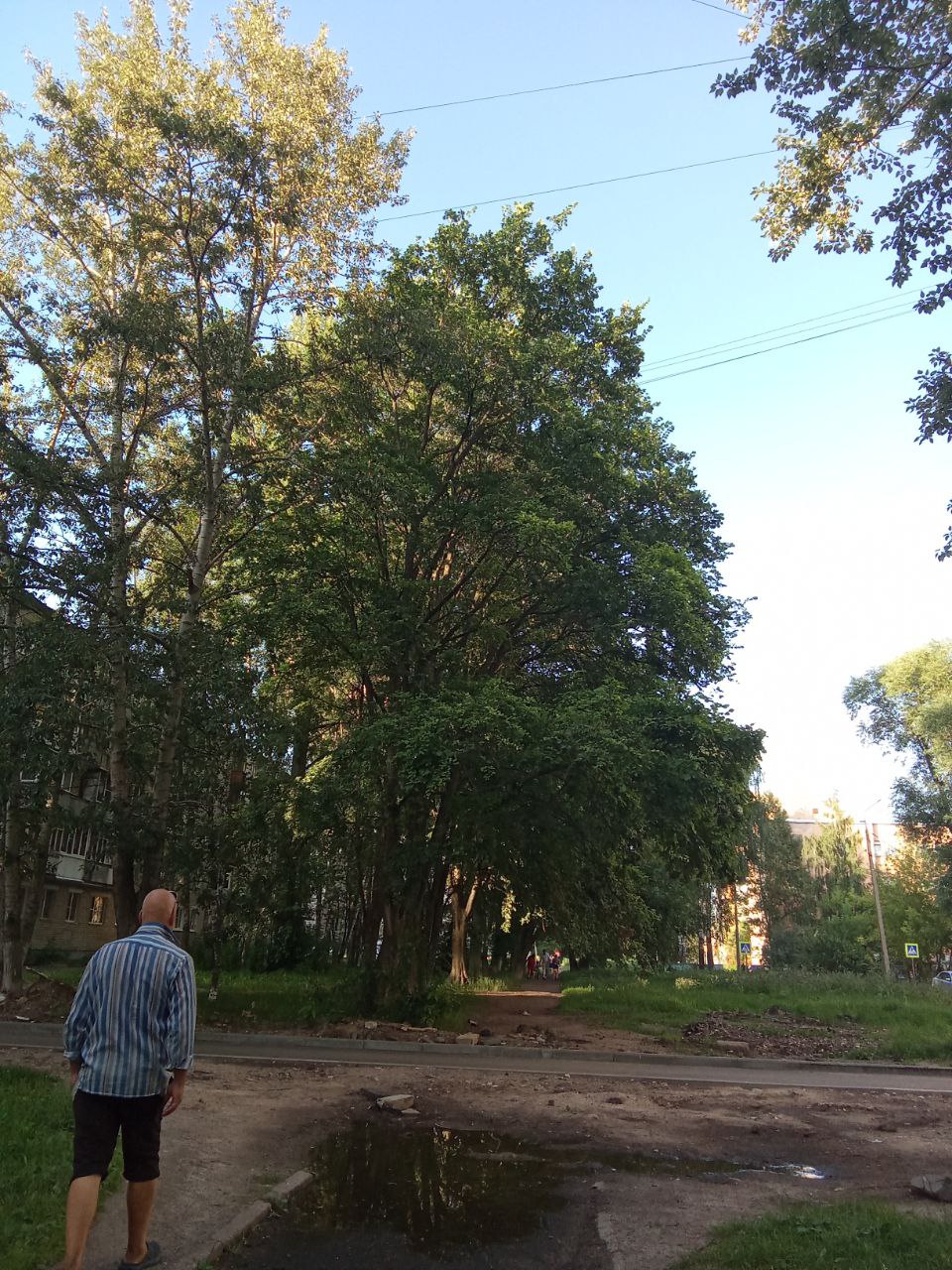 Неотправленное письмо