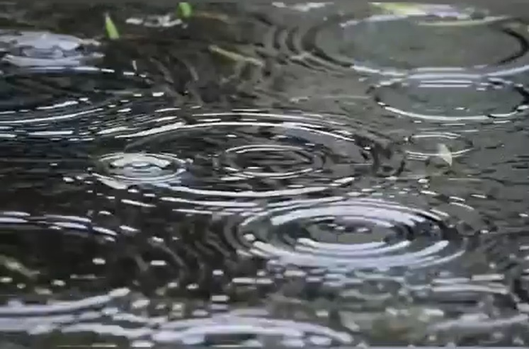 Люблю грозу и запах после грозья